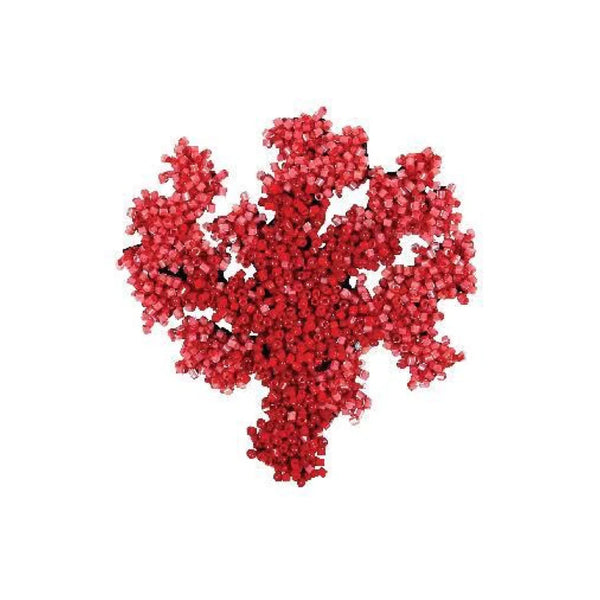Coral Brooch Pin