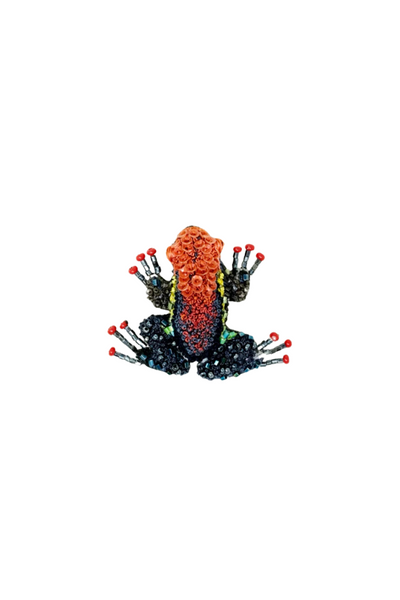Cainarachi Frog Brooch Pin